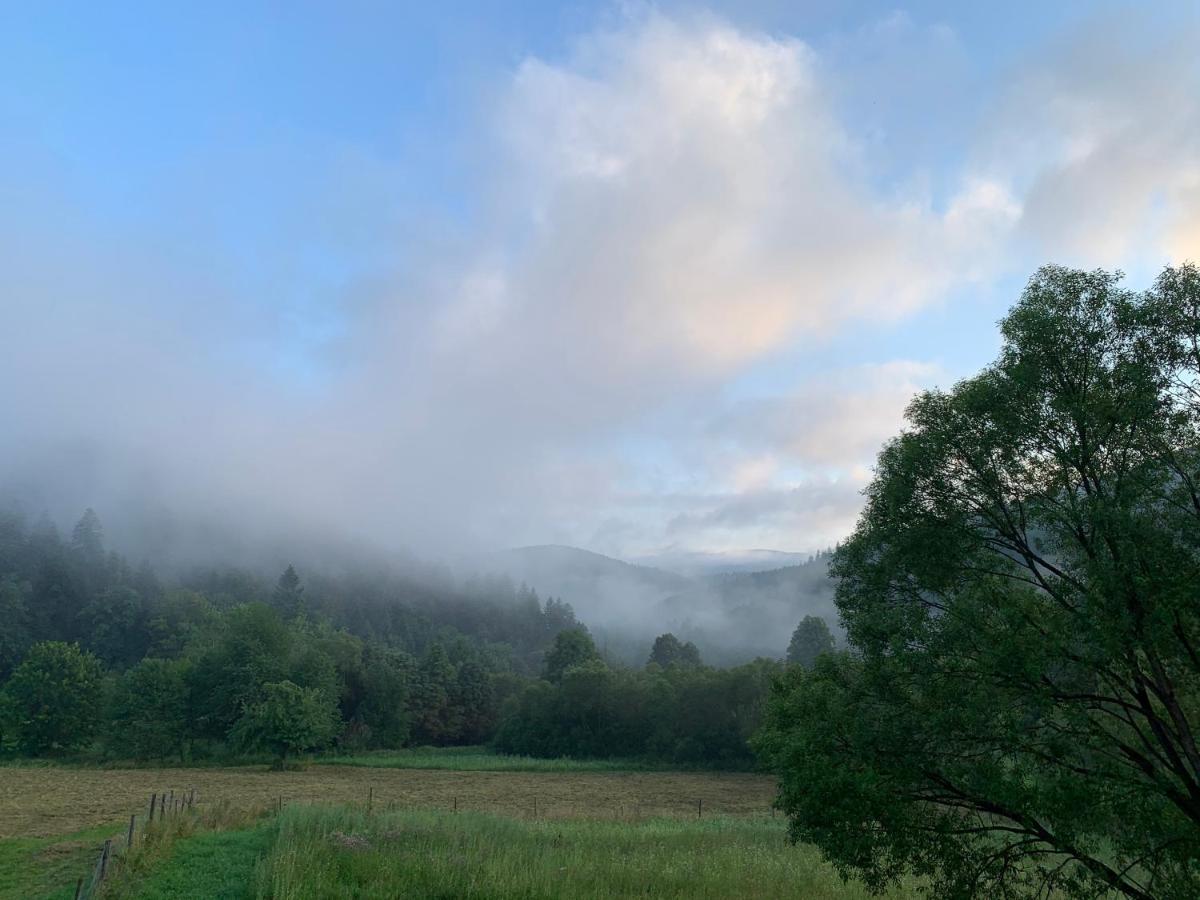 Tylko Tu Bieszczady, Balia, Sauna Baligrod Luaran gambar