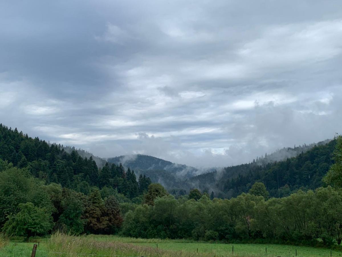 Tylko Tu Bieszczady, Balia, Sauna Baligrod Luaran gambar