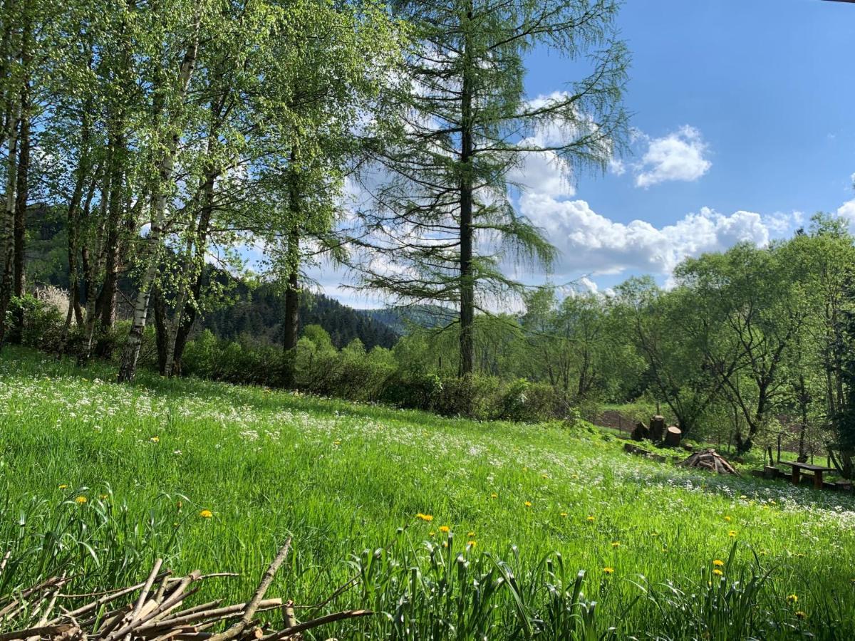Tylko Tu Bieszczady, Balia, Sauna Baligrod Luaran gambar
